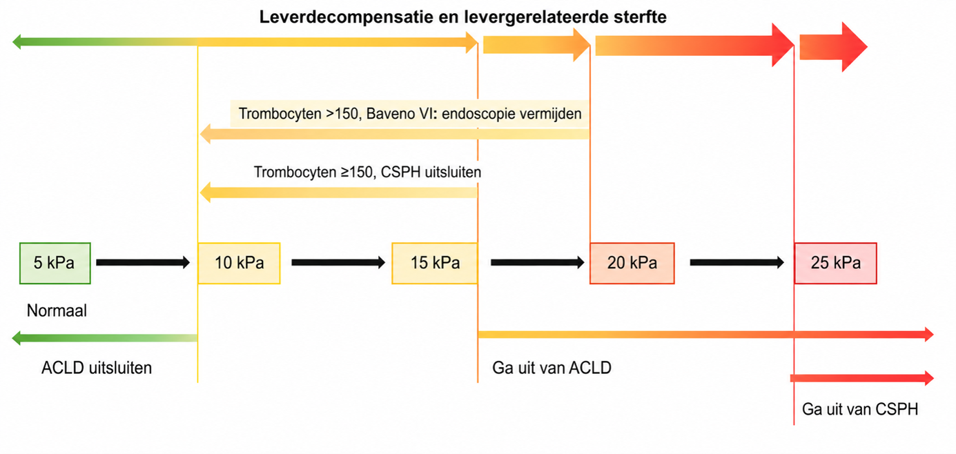 beschrijving foto